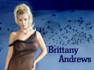 Brittany Andrews Thumbnail (1)